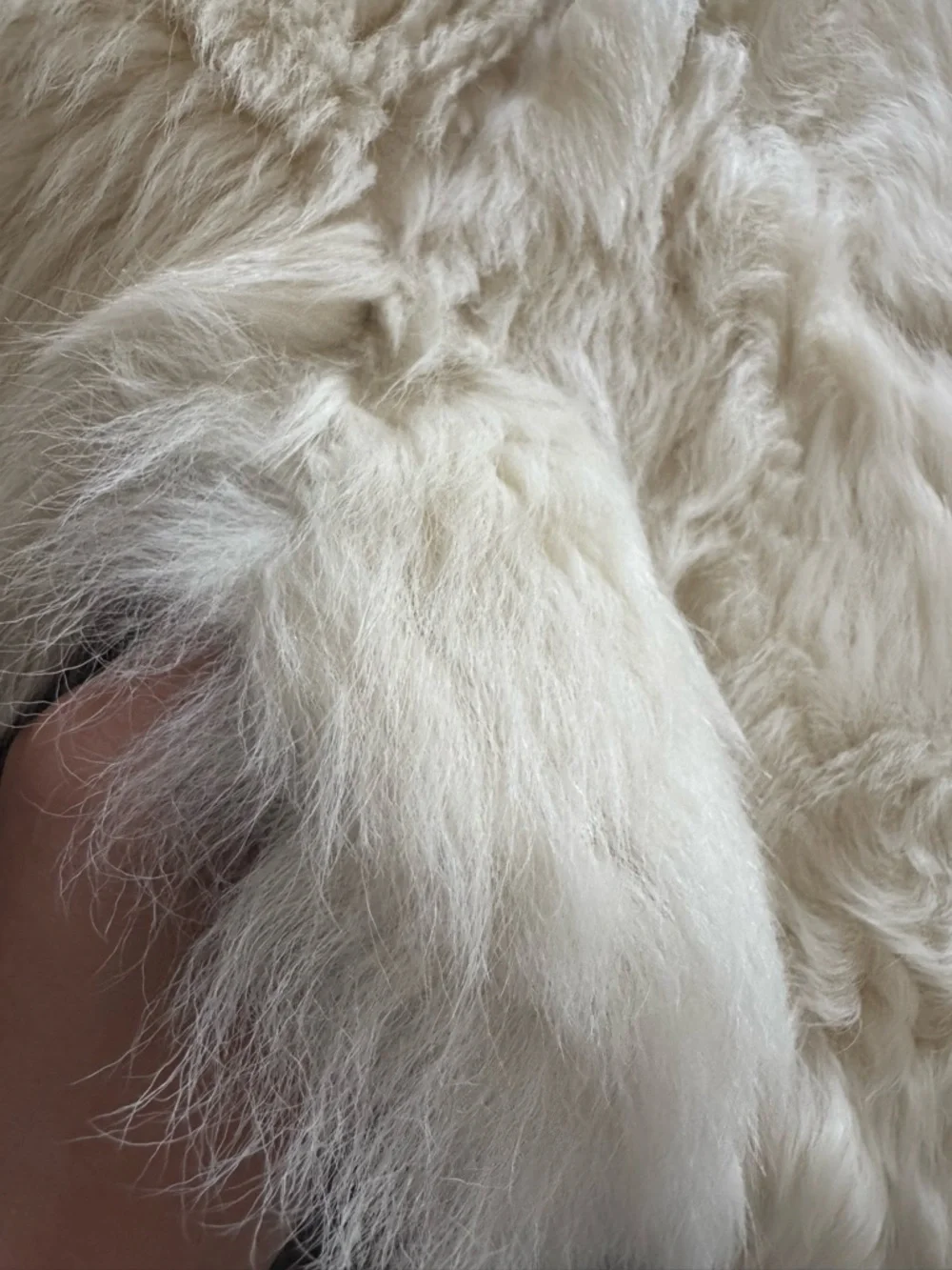 Kids Black Shearling Hooded Leather Coat Real Sheepskin